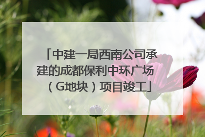 中建一局西南公司承建的成都保利中环广场（G地块）项目竣工