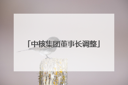 中核集团董事长调整