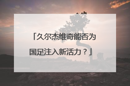 久尔杰维奇能否为国足注入新活力？