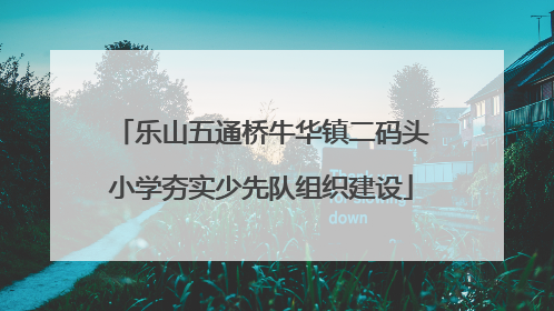 乐山五通桥牛华镇二码头小学夯实少先队组织建设