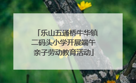 乐山五通桥牛华镇二码头小学开展端午亲子劳动教育活动
