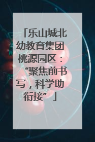 乐山城北幼教育集团桃源园区：“聚焦前书写，科学助衔接”