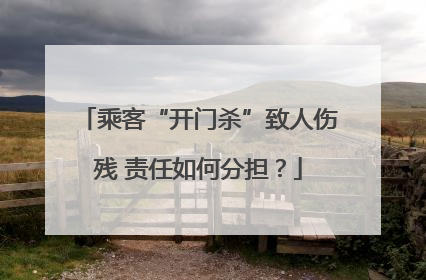 乘客“开门杀”致人伤残 责任如何分担？