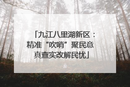 九江八里湖新区：精准“吹哨”聚民意 真查实改解民忧