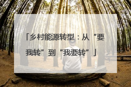 乡村能源转型：从“要我转”到“我要转”