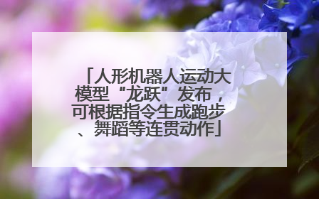 人形机器人运动大模型“龙跃”发布，可根据指令生成跑步、舞蹈等连贯动作