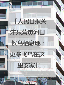 人民日报关注东营黄河口候鸟栖息地：更多飞鸟在这里安家