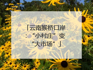 云南猴桥口岸：“小村庄”变“大市场”