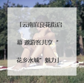 云南宜良花街启幕 邀游客共享“花乡水城”魅力