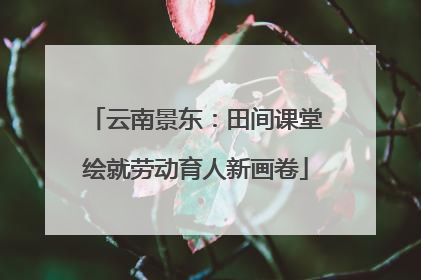 云南景东：田间课堂绘就劳动育人新画卷