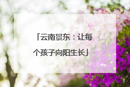 云南景东：让每个孩子向阳生长