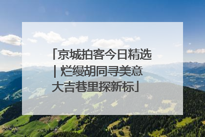 京城拍客今日精选｜烂缦胡同寻美意 大吉巷里探新标