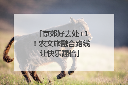 京郊好去处+1！农文旅融合路线让快乐翻倍