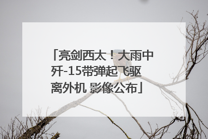 亮剑西太！大雨中歼-15带弹起飞驱离外机 影像公布