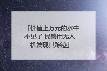 价值上万元的水牛不见了 民警用无人机发现其踪迹