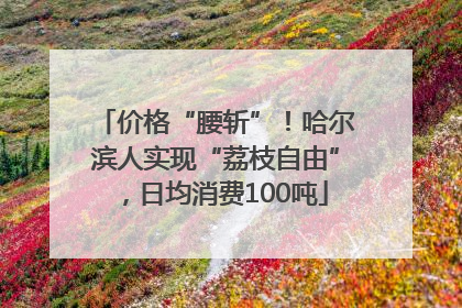 价格“腰斩”！哈尔滨人实现“荔枝自由”，日均消费100吨
