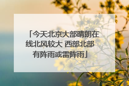 今天北京大部晴朗在线北风较大 西部北部有阵雨或雷阵雨