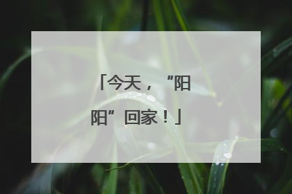 今天，“阳阳”回家！