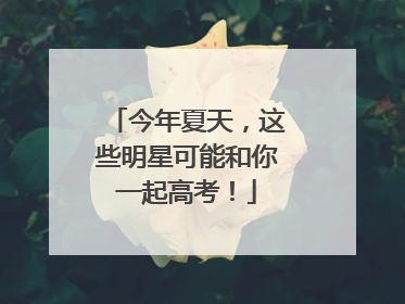 今年夏天，这些明星可能和你一起高考！