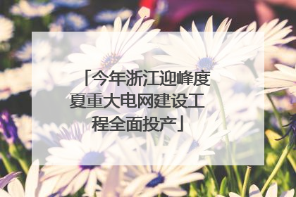 今年浙江迎峰度夏重大电网建设工程全面投产