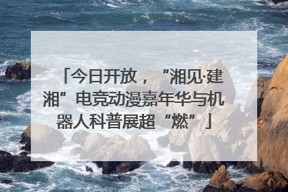 今日开放，“湘见·建湘”电竞动漫嘉年华与机器人科普展超“燃”