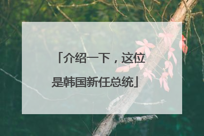 介绍一下，这位是韩国新任总统