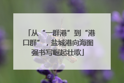 从“一群港”到“港口群”，盐城港向海图强书写崛起壮歌