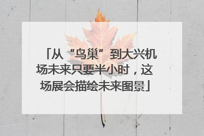 从“鸟巢”到大兴机场未来只要半小时，这场展会描绘未来图景