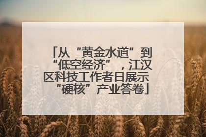 从“黄金水道”到“低空经济”，江汉区科技工作者日展示“硬核”产业答卷