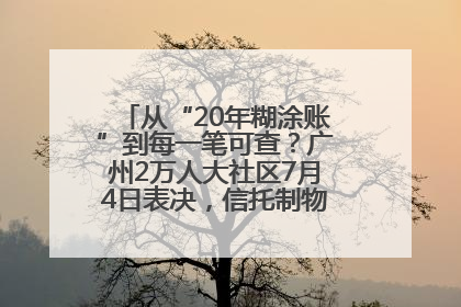 从“20年糊涂账”到每一笔可查？广州2万人大社区7月4日表决，信托制物业如何取“信”？