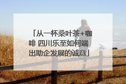 从一杯桑叶茶+咖啡 四川乐至如何端出助企发展的诚意