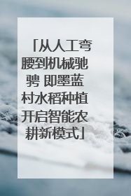 从人工弯腰到机械驰骋 即墨蓝村水稻种植开启智能农耕新模式