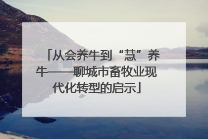 从会养牛到“慧”养牛——聊城市畜牧业现代化转型的启示