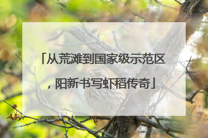 从荒滩到国家级示范区，阳新书写虾稻传奇