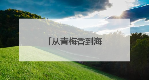 从青梅香到海洋蓝——两代台胞的诏安情缘