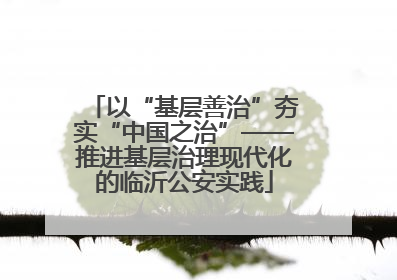 以“基层善治”夯实“中国之治”——推进基层治理现代化的临沂公安实践
