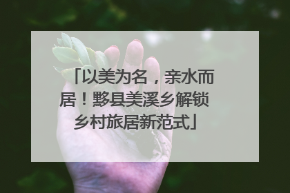 以美为名，亲水而居！黟县美溪乡解锁乡村旅居新范式