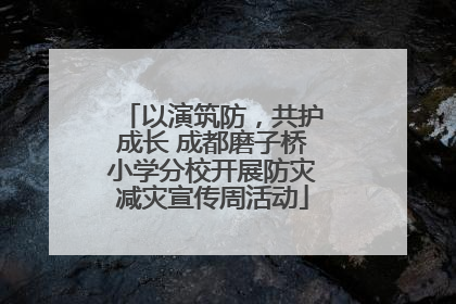 以演筑防，共护成长 成都磨子桥小学分校开展防灾减灾宣传周活动