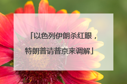 以色列伊朗杀红眼，特朗普请普京来调解