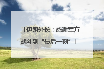 伊朗外长：感谢军方战斗到“最后一刻”