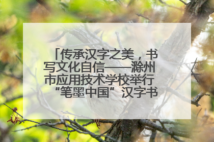 传承汉字之美，书写文化自信——滁州市应用技术学校举行“笔墨中国”汉字书写比赛表彰大会