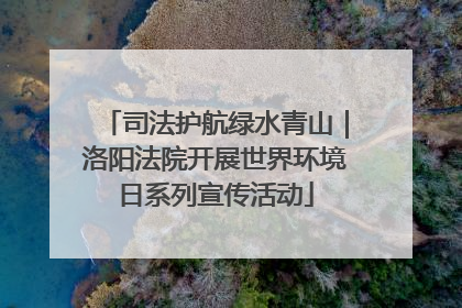 司法护航绿水青山｜洛阳法院开展世界环境日系列宣传活动