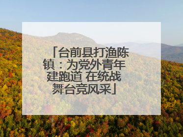 台前县打渔陈镇：为党外青年建跑道 在统战舞台竞风采
