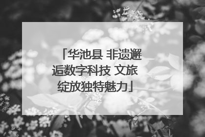 华池县 非遗邂逅数字科技 文旅绽放独特魅力