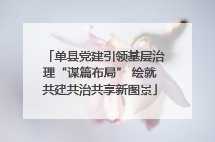 单县党建引领基层治理“谋篇布局” 绘就共建共治共享新图景
