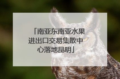 南亚东南亚水果进出口交易集散中心落地昆明