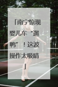 南宁惊现婴儿车“遛鸭”！这波操作太吸睛