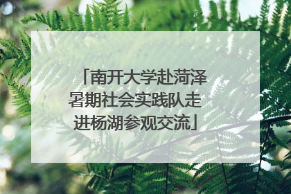 南开大学赴菏泽暑期社会实践队走进杨湖参观交流