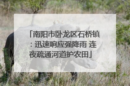 南阳市卧龙区石桥镇：迅速响应强降雨 连夜疏通河道护农田