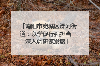 南阳市宛城区溧河街道：以学促行强担当 深入调研谋发展